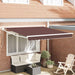 Manuell uttrekkbar markise brun 300x250 cm