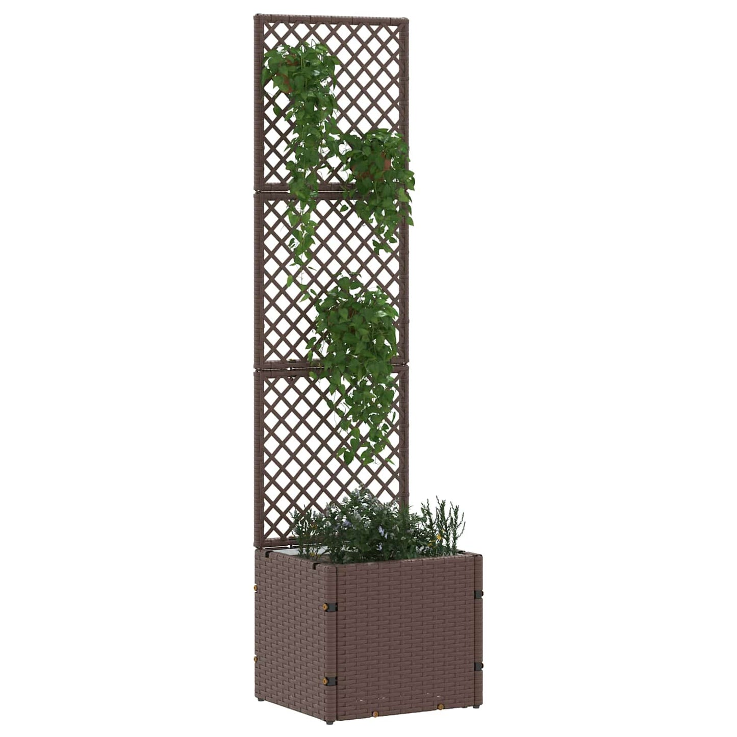 Hage Espalier Planter Brun 35 x 30 x 135 cm Metall