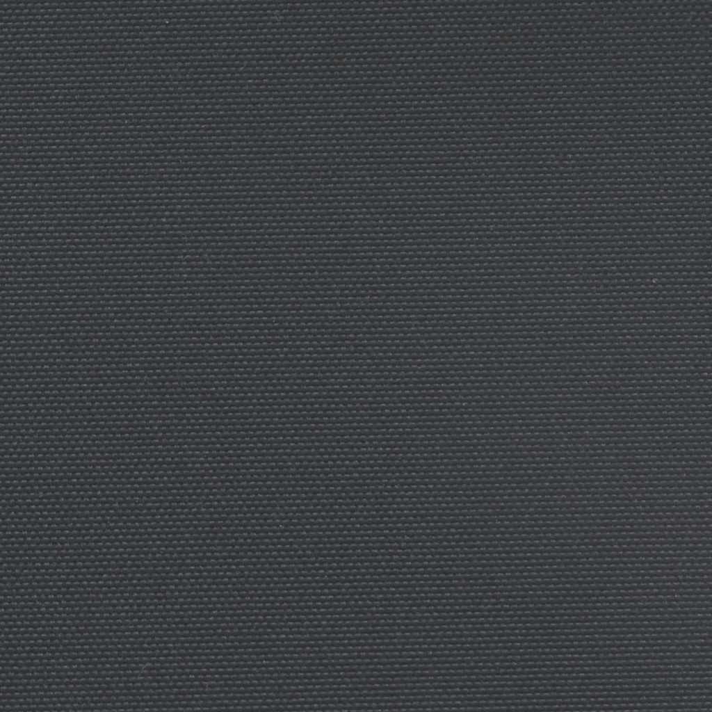 Uttrekkbar sidemarkise svart 100x300 cm vidaXL