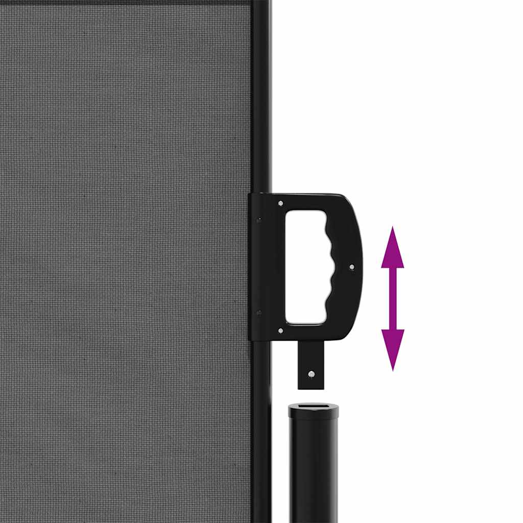 Uttrekkbar sidemarkise antrasitt 100x300 cm vidaXL