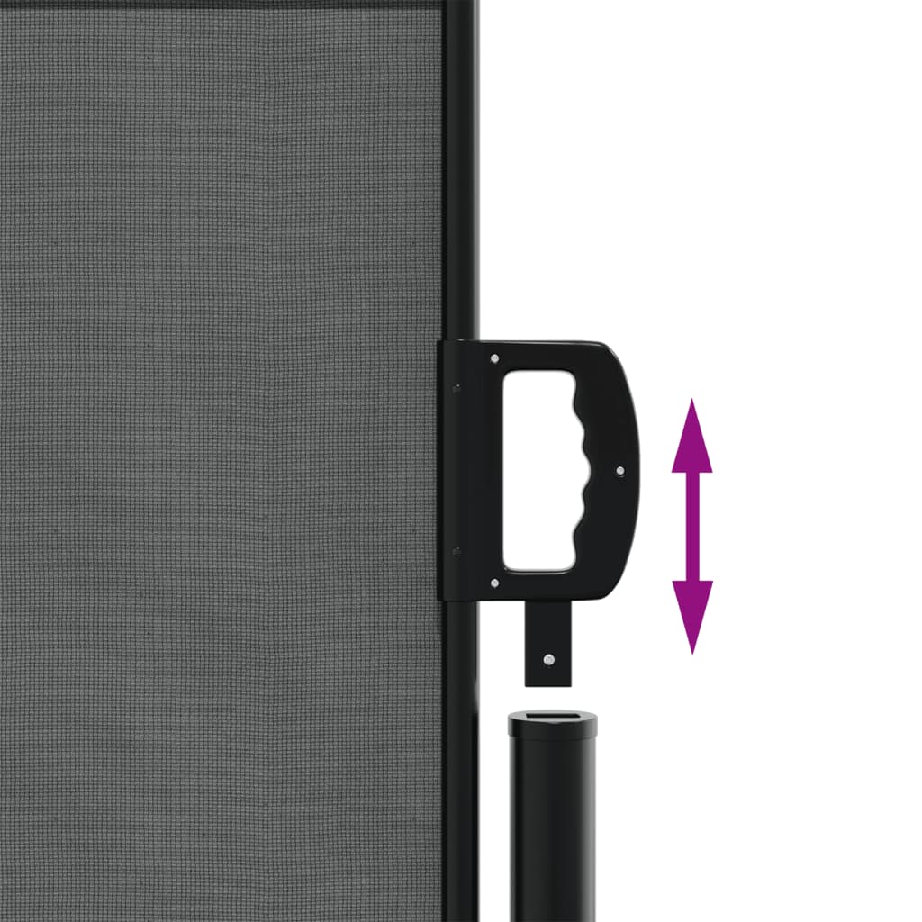 Uttrekkbar sidemarkise antrasitt 117x300 cm