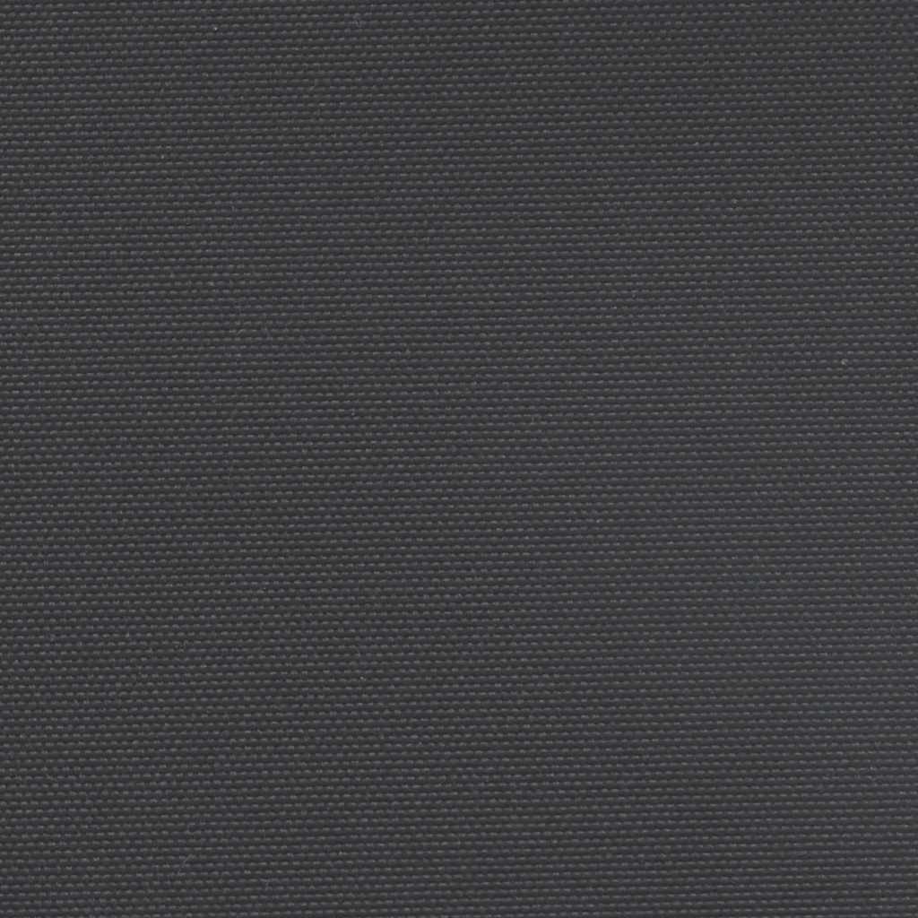 Uttrekkbar sidemarkise svart 180x300 cm
