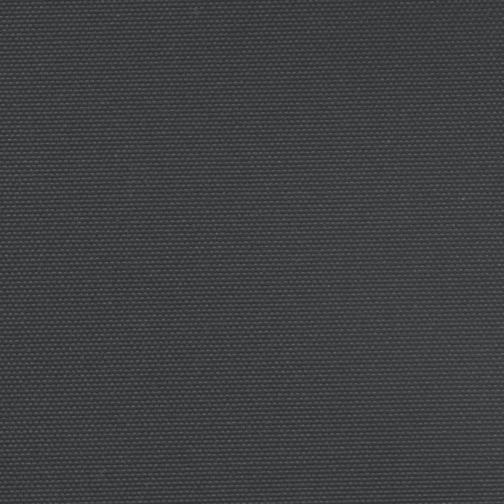 Uttrekkbar sidemarkise 220x1200 cm svart