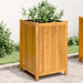 Plantekasse med foring 50x50x75 cm helte akasie vidaXL