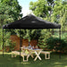 Sammenleggbart partytelt pop-up svart 292x292x315 cm