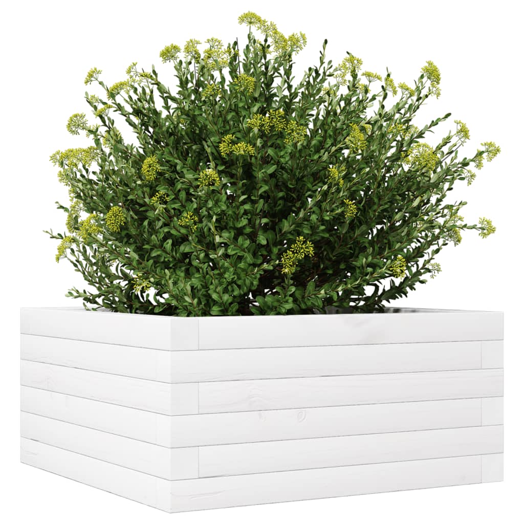 Hageplantekasse hvit 50x50x23 cm heltre furu