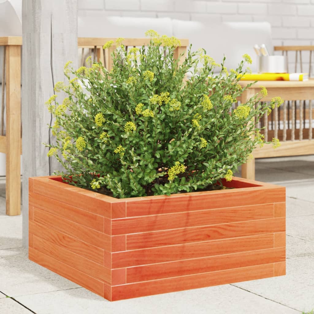 Plantekasse voksbrun 60x60x23 cm heltre furu