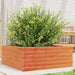 Plantekasse voksbrun 60x60x23 cm heltre furu
