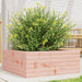 Hageplantekasse 60x60x23 cm heltre douglasgran
