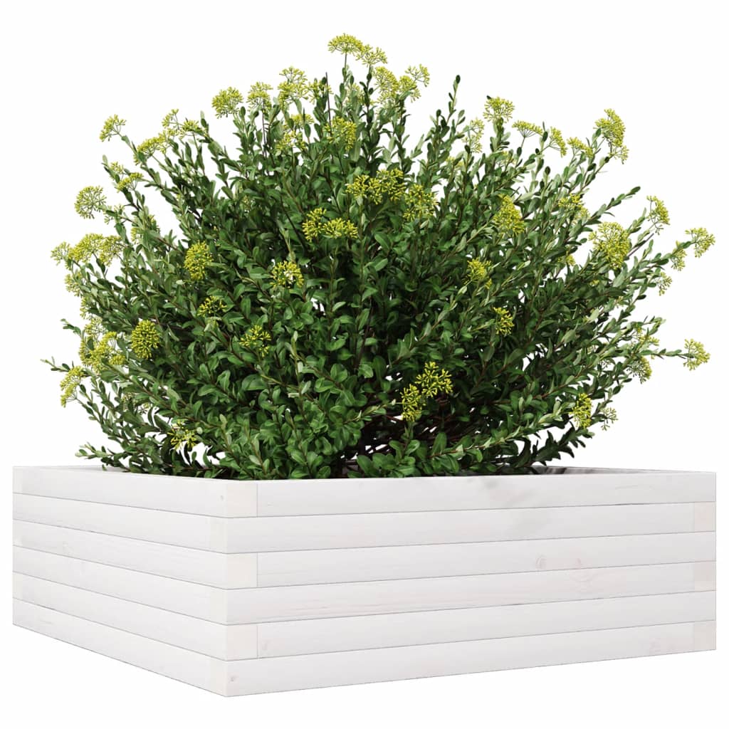 Plantekasse hvit 70x70x23 cm heltre furu