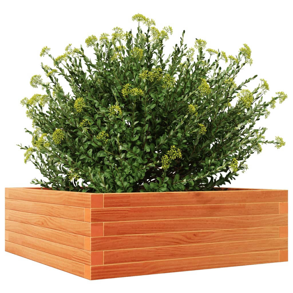 Plantekasse voksbrun 70x70x23 cm heltre furu