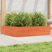 Plantekasse voksbrun 100x100x23 cm heltre furu