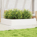 Plantekasse hvit 110x110x23 cm heltre furu