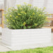 Plantekasse hvit 70x40x23 cm heltre furu