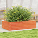 Plantekasse voksbrun 90x60x23 cm heltre furu