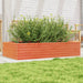 Plantekasse voksbrun 110x60x23 cm heltre furu