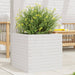 Plantekasse hvit 50x50x45,5 cm heltre furu
