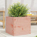 Plantekasse 50x50x45,5 cm heltre douglasgran