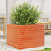 Plantekasse voksbrun 60x60x45,5 cm heltre furu