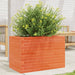 Plantekasse voksbrun 70x40x45,5 cm heltre furu