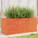 Plantekasse voksbrun 110x40x45,5 cm heltre furu