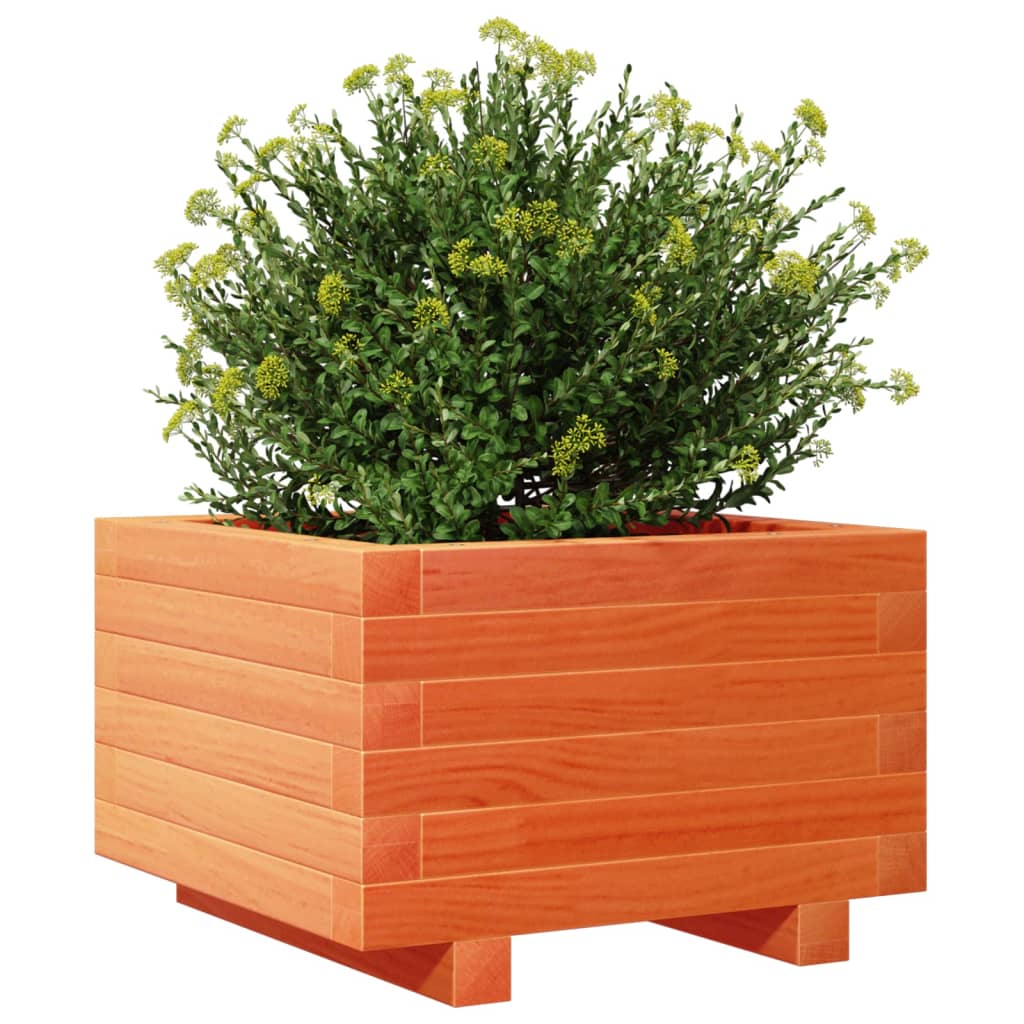 Plantekasse voksbrun 40x40x26,5 cm heltre furu