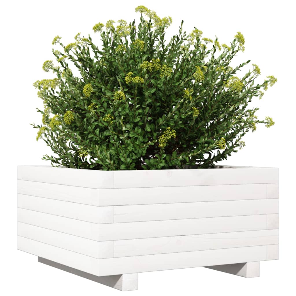 Plantekasse hvit 50x50x26,5 cm heltre furu