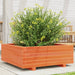 Plantekasse voksbrun 70x70x26,5 cm heltre furu