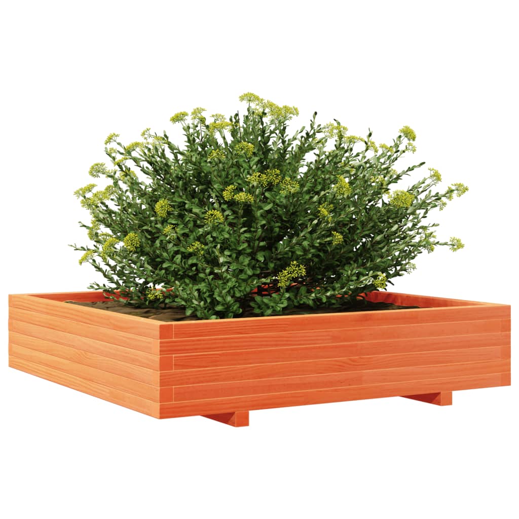 Plantekasse voksbrun 110x110x26,5 cm heltre furu