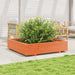 Plantekasse voksbrun 110x110x26,5 cm heltre furu