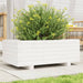 Plantekasse hvit 70x40x26,5 cm heltre furu