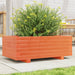 Plantekasse voksbrun 70x40x26,5 cm heltre furu