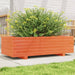 Plantekasse voksbrun 90x40x49,5 cm heltre furu