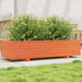 Plantekasse voksbrun 110x40x26,5 cm heltre furu