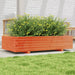 Plantekasse voksbrun 110x60x26,5 cm heltre furu
