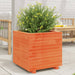 Plantekasse voksbrun 50x50x49,5 cm heltre furu
