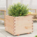 Plantekasse 60x60x49,5 cm heltre furu