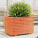 Plantekasse voksbrun 70x40x49,5 cm heltre furu