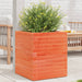 Plantekasse voksbrun 40x40x46 cm heltre furu