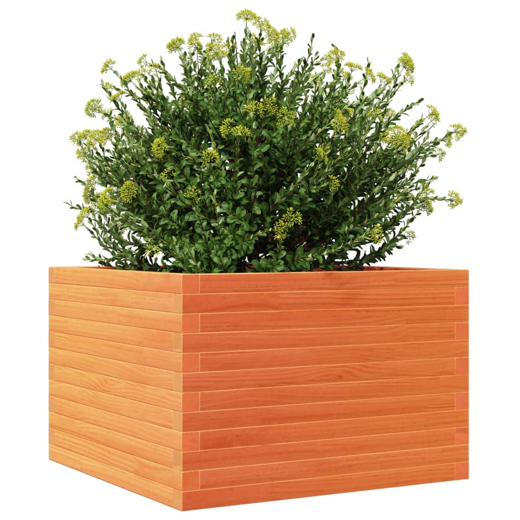 Plantekasse voksbrun 70x70x46 cm heltre furu