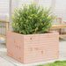 Plantekasse 70x70x46 cm heltre douglasgran