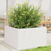 Plantekasse hvit 80x80x46 cm heltre furu