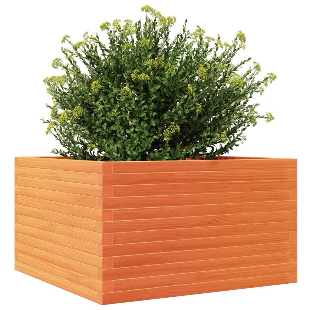 Plantekasse voksbrun 80x80x46 cm heltre furu
