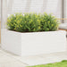 Plantekasse hvit 110x110x46 cm heltre furu