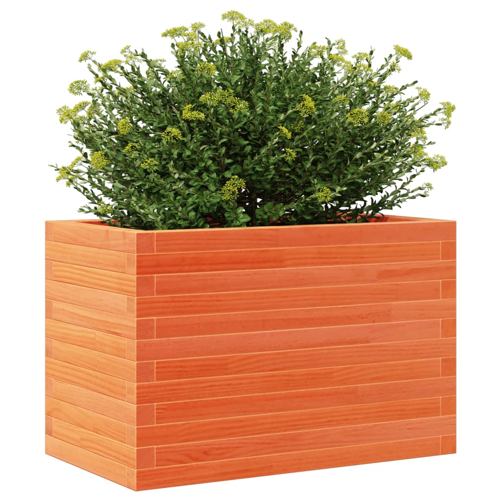 Plantekasse voksbrun 70x40x46 cm heltre furu