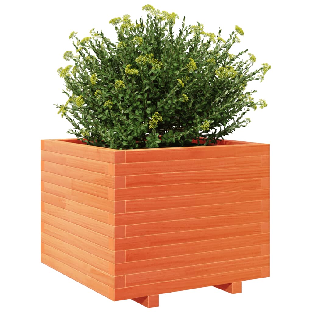 Plantekasse voksbrun 60x60x49,5 cm heltre furu