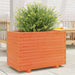 Plantekasse voksbrun 70x40x49,5 cm heltre furu