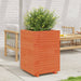 Plantekasse voksbrun 50x50x72,5 cm heltre furu