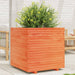 Plantekasse voksbrun 70x70x72 cm heltre furu