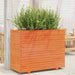 Plantekasse voksbrun 90x40x72 cm heltre furu